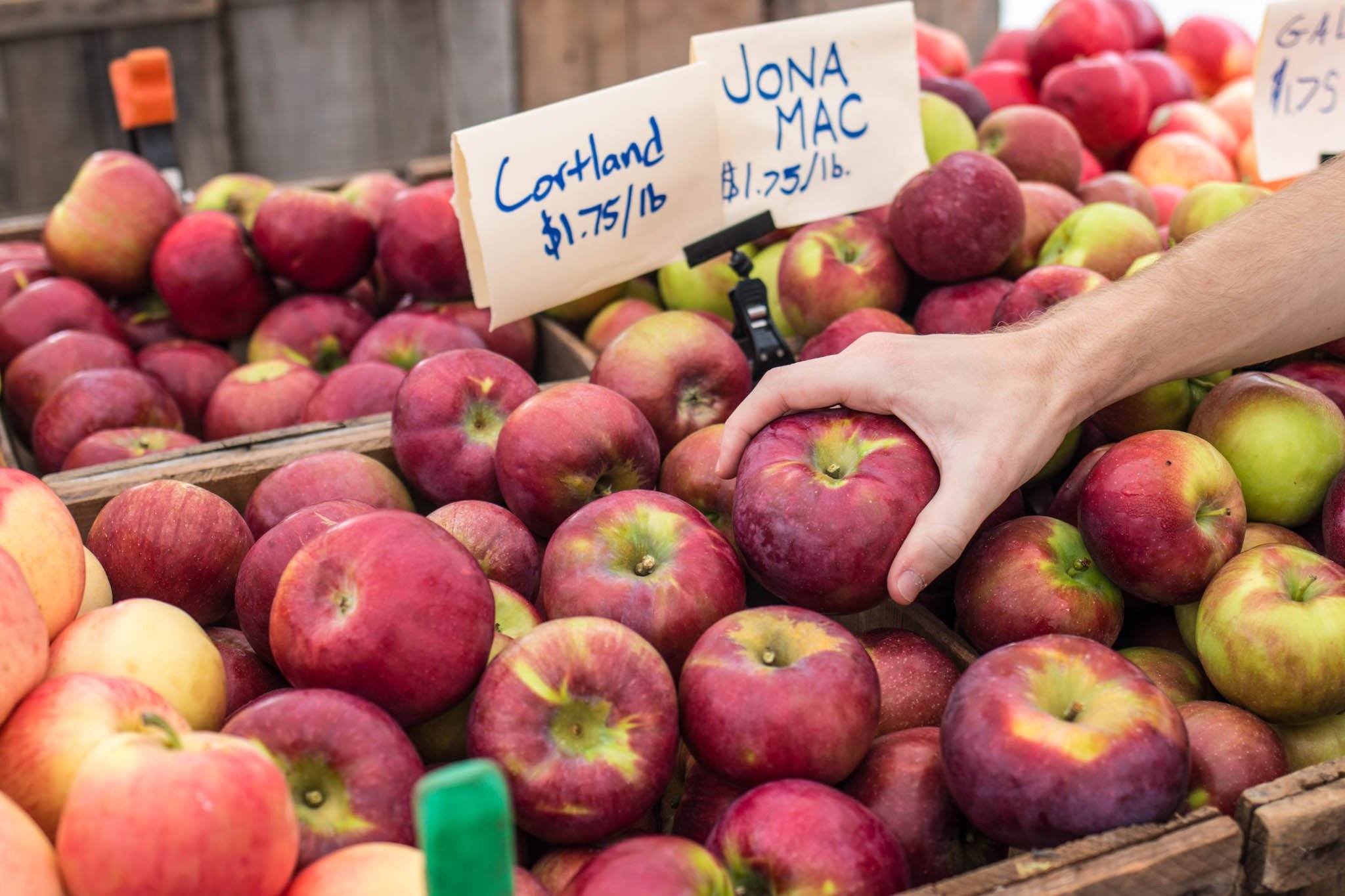 Hard Cider Tips: Apple Blending Basics