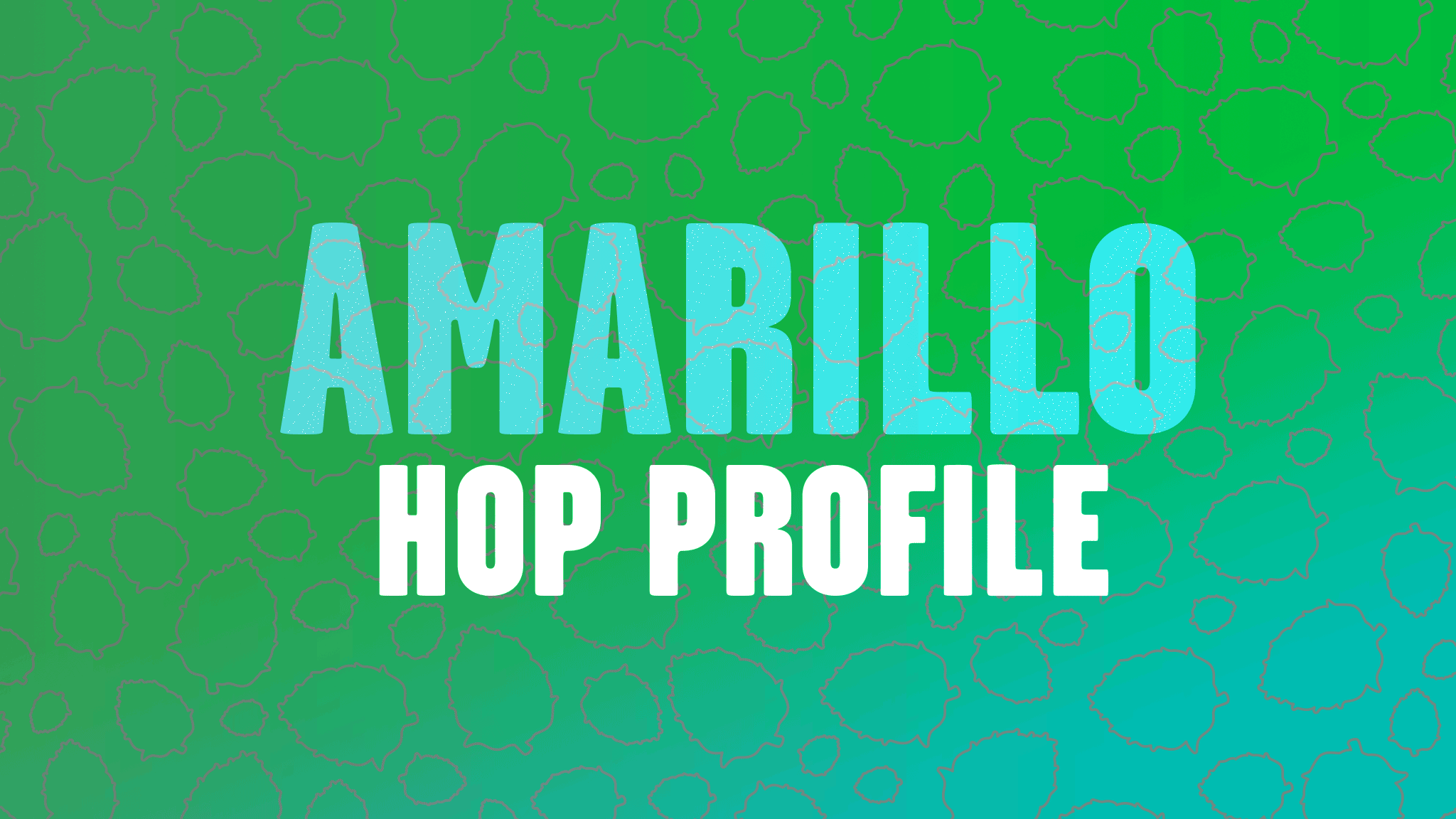 Hop Profile: Amarillo