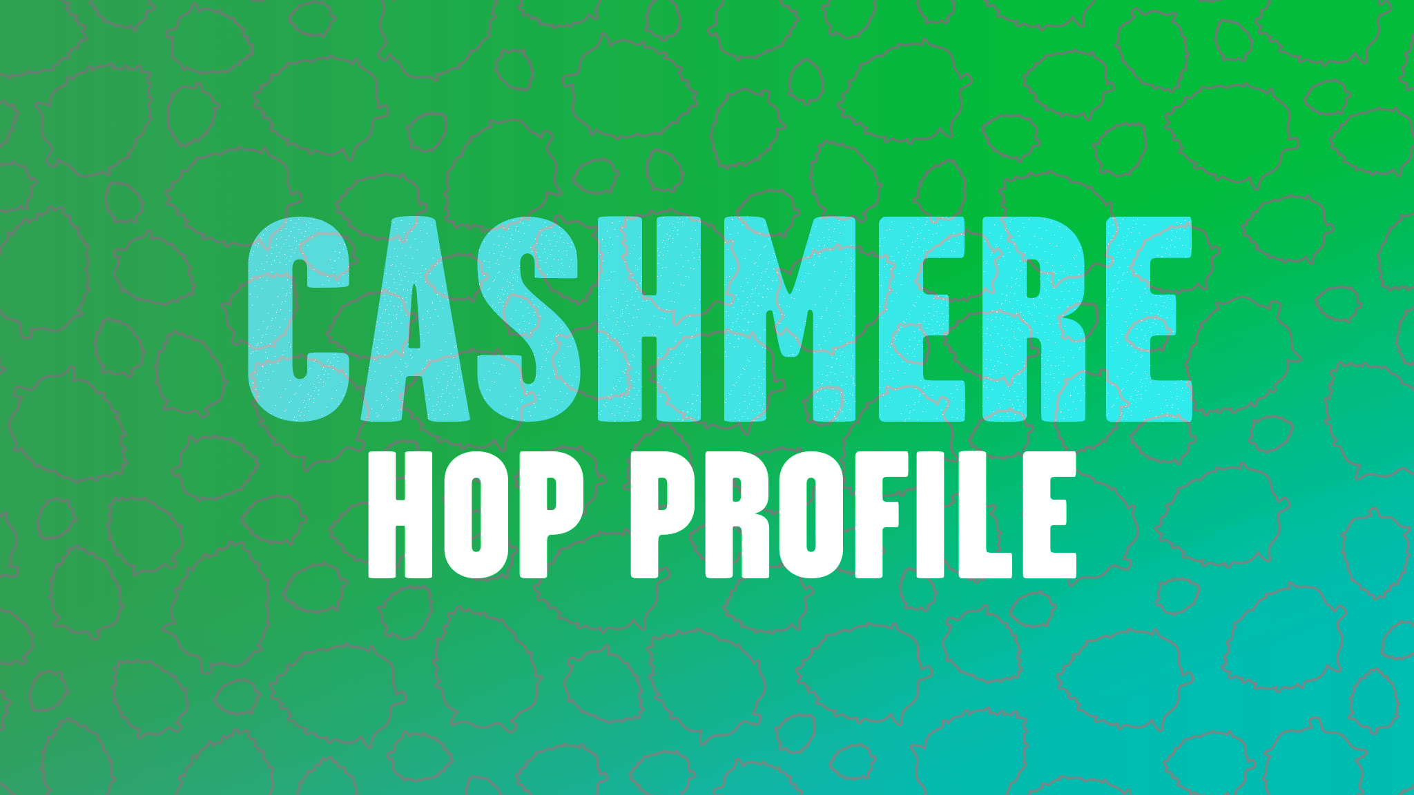 Hop Profile: Cashmere