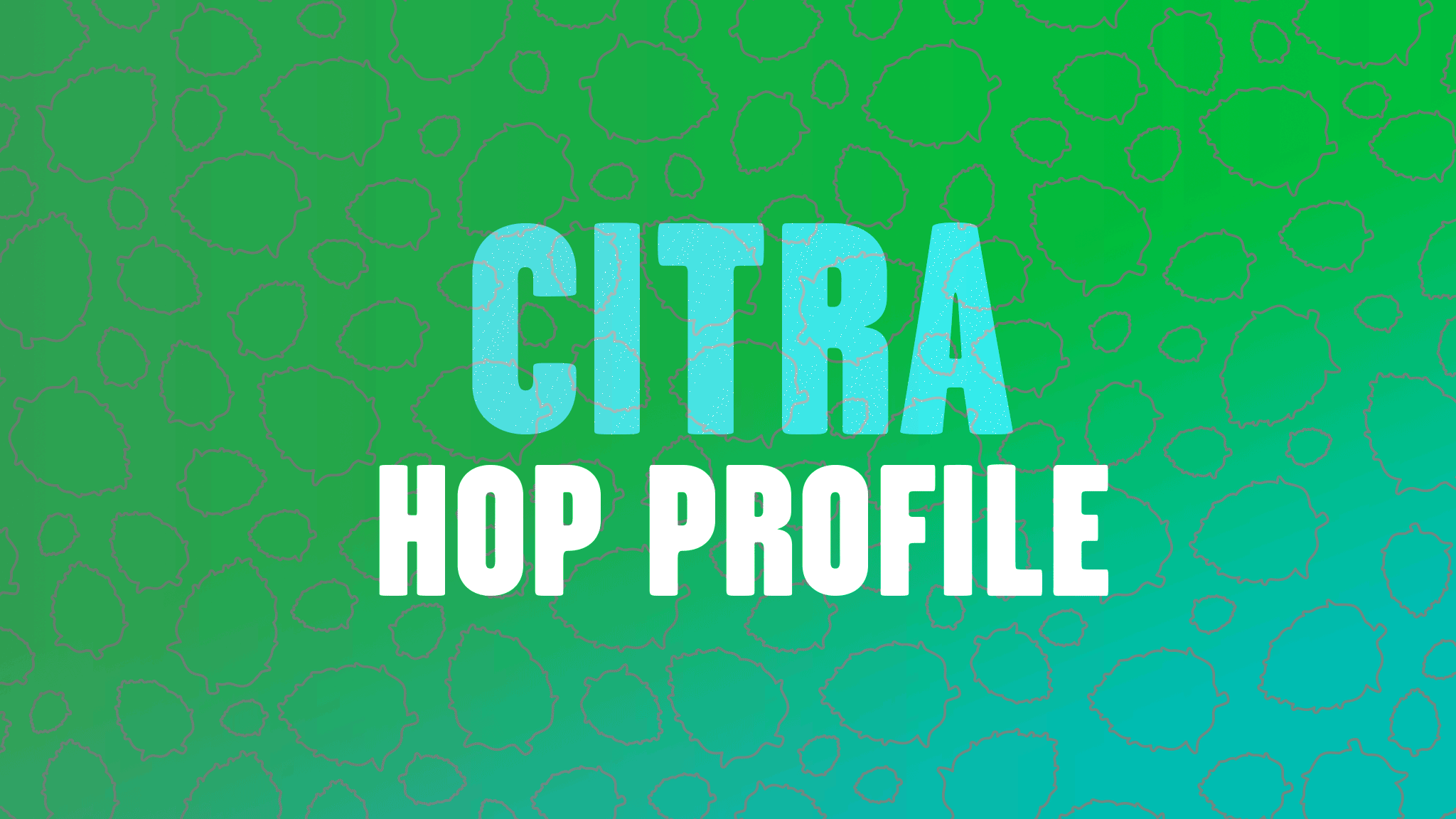 Hop Profile: Citra