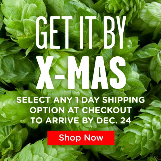 Get it by Christmas: Select Any 1 Day Shipping Option at Checkout