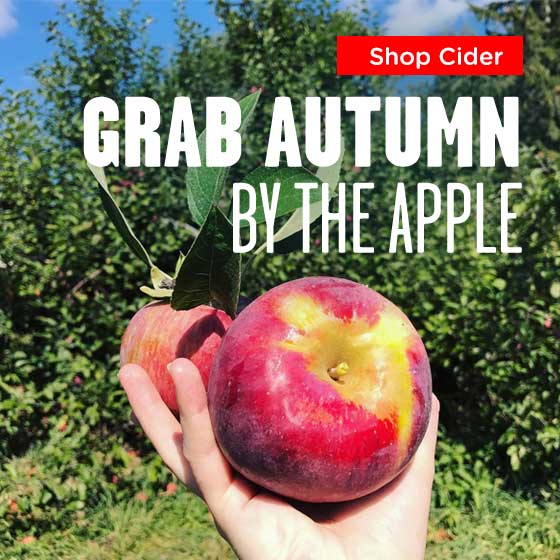 Hard Cider Kits: Grab Autumn by the Apple