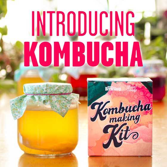 Introducing the new Kombucha Making Kit