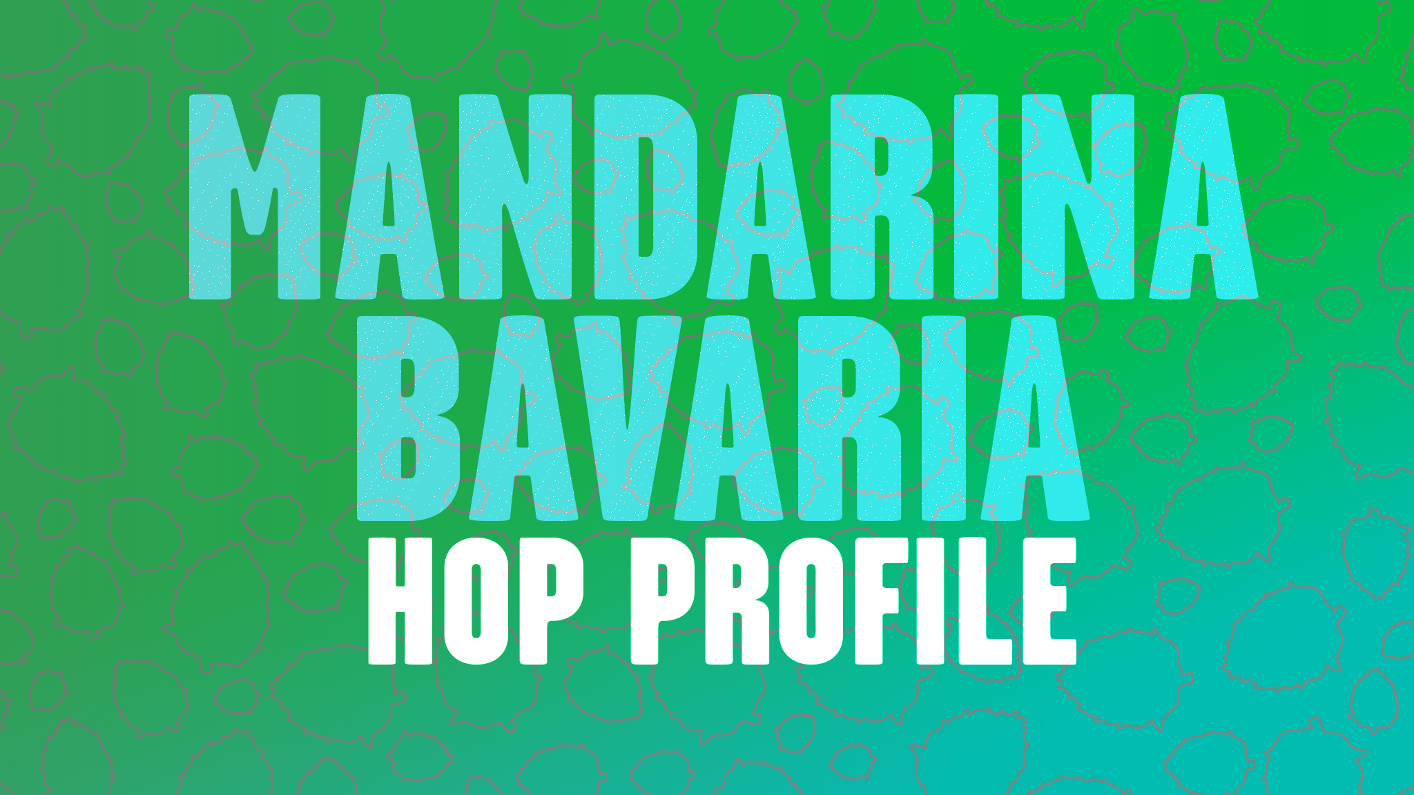 Hop Profile: Mandarina Bavaria