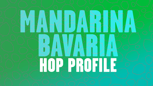 Hop Profile: Mandarina Bavaria