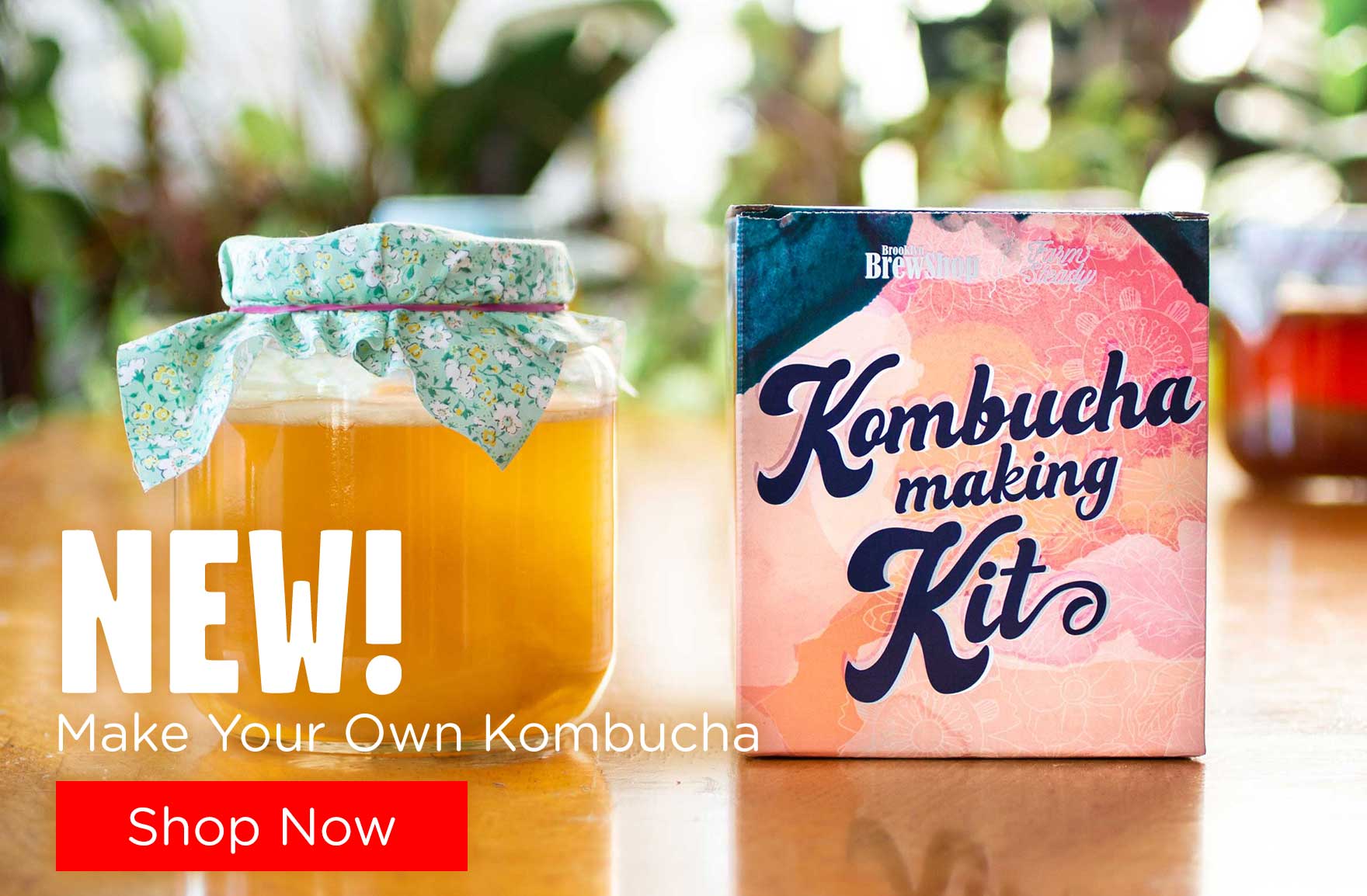 New: Kombucha Making Kit
