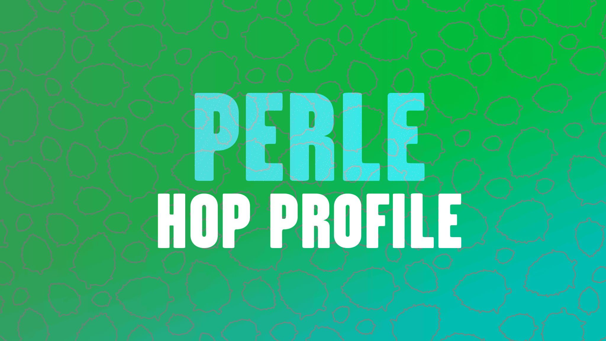 Hop Profile: Perle