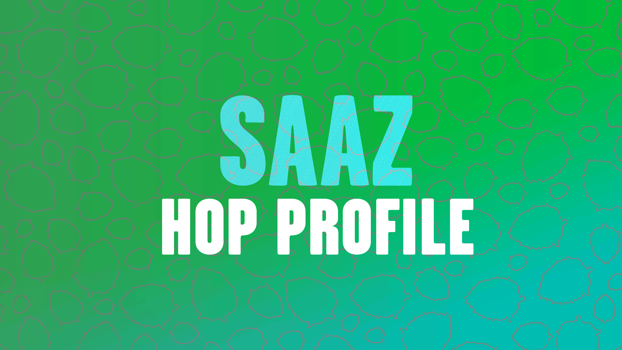 Hop Profile: Saaz