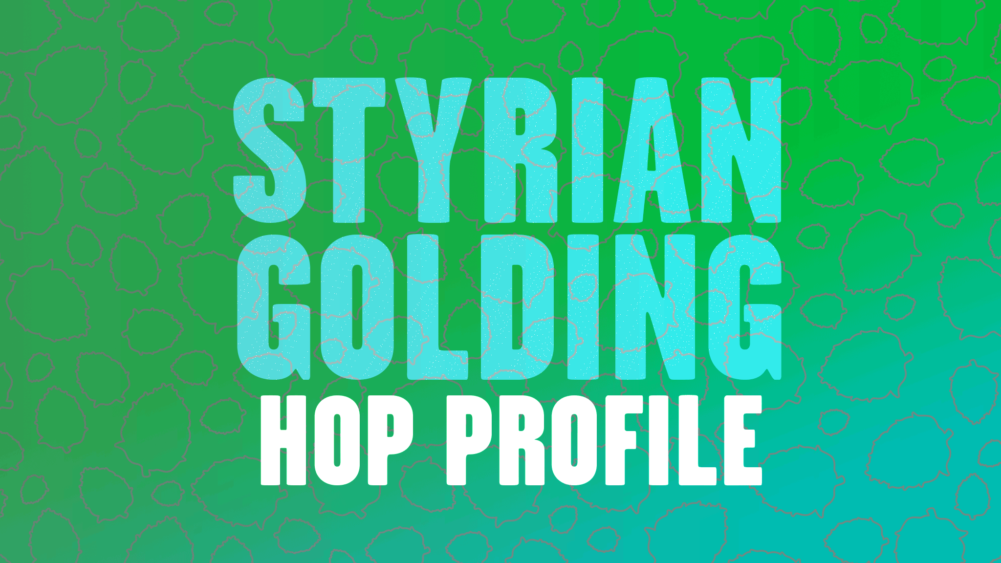Hop Profile: Styrian Golding