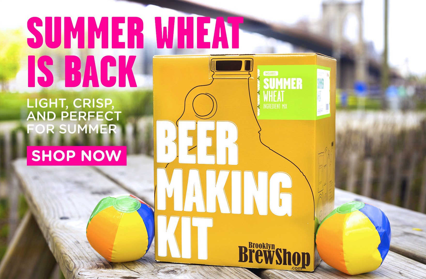Summer Wheat is Back