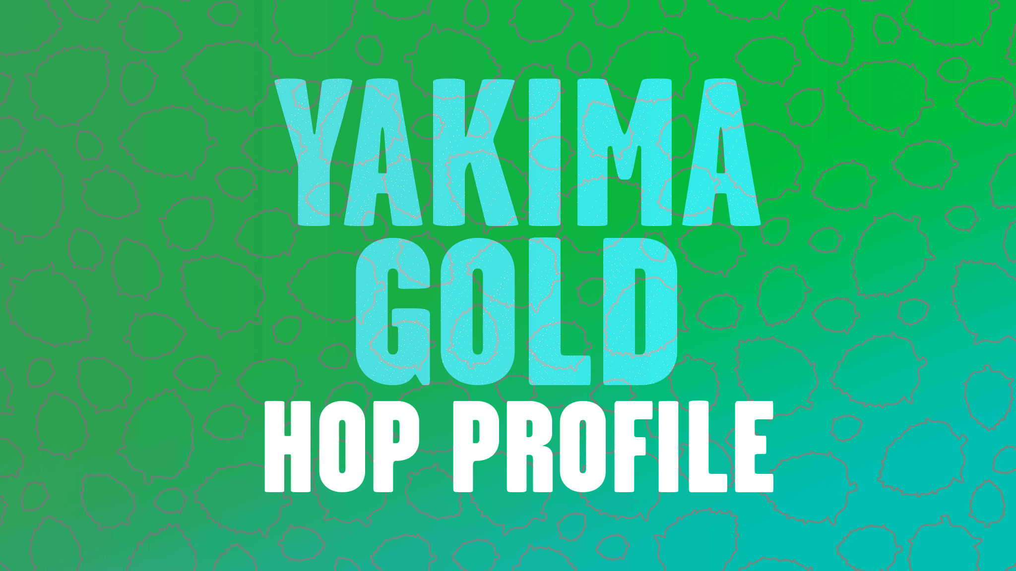 Hop Profile: Yakima Gold