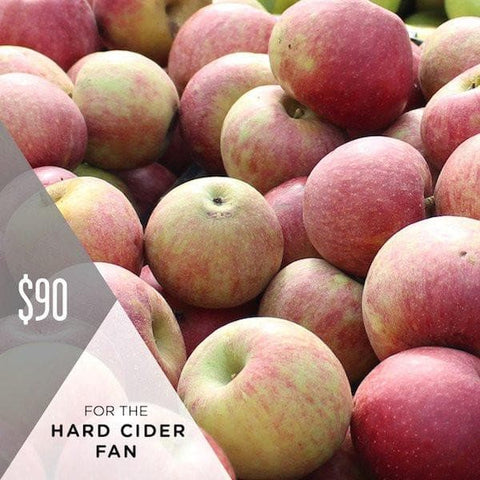 Hard Cider Fan Gift Set
