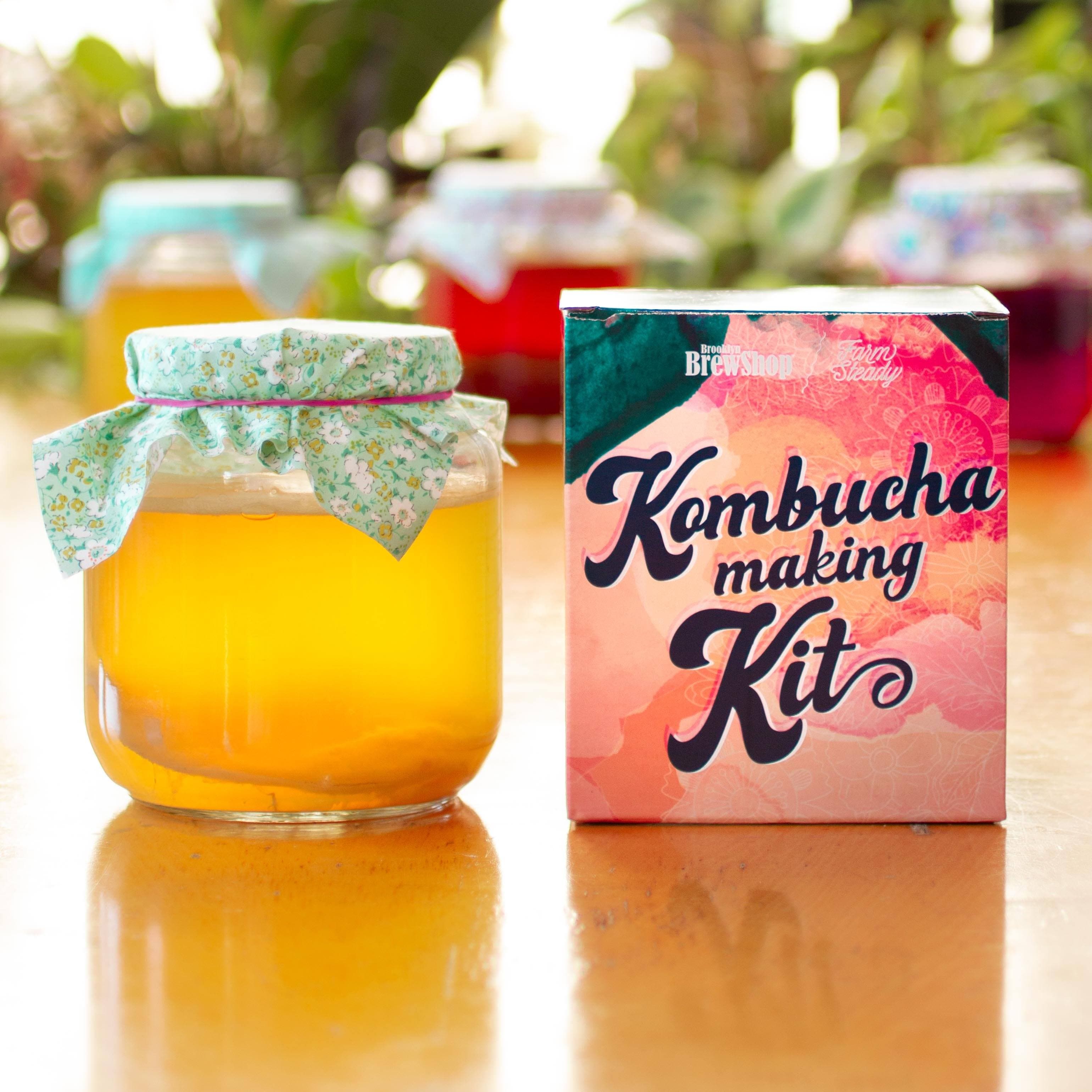 Kombucha Making Kit (1 gallon) - Fermenters Club