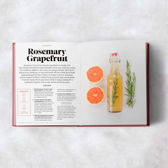 The FarmSteady Guide to Kombucha - 7 - FarmSteady