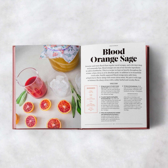 The FarmSteady Guide to Kombucha - 4 - FarmSteady