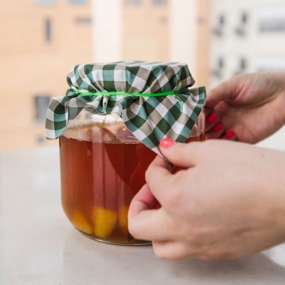 The FarmSteady Guide to Kombucha - 6 - FarmSteady