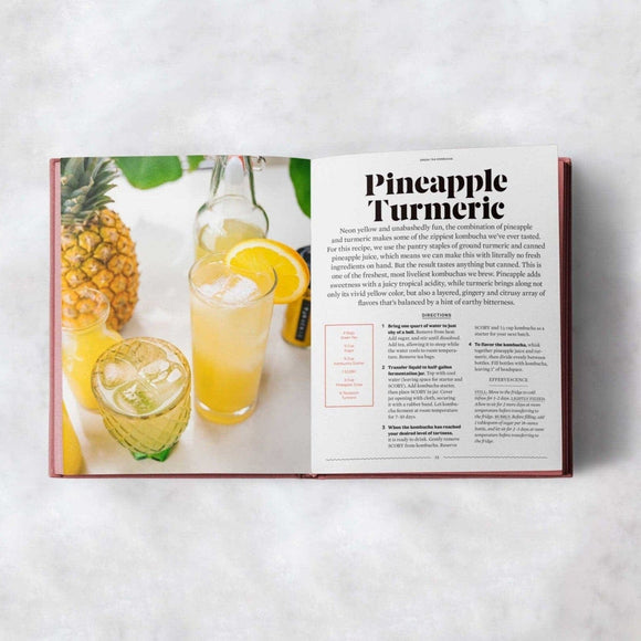 The FarmSteady Guide to Kombucha - 2 - FarmSteady