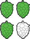 Kit to make a hoppy IPA beer